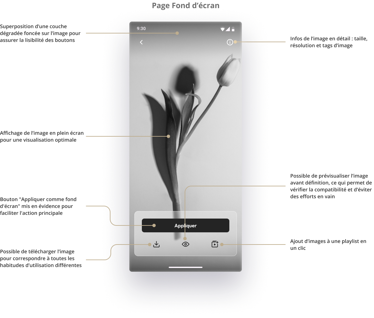 screen analyse