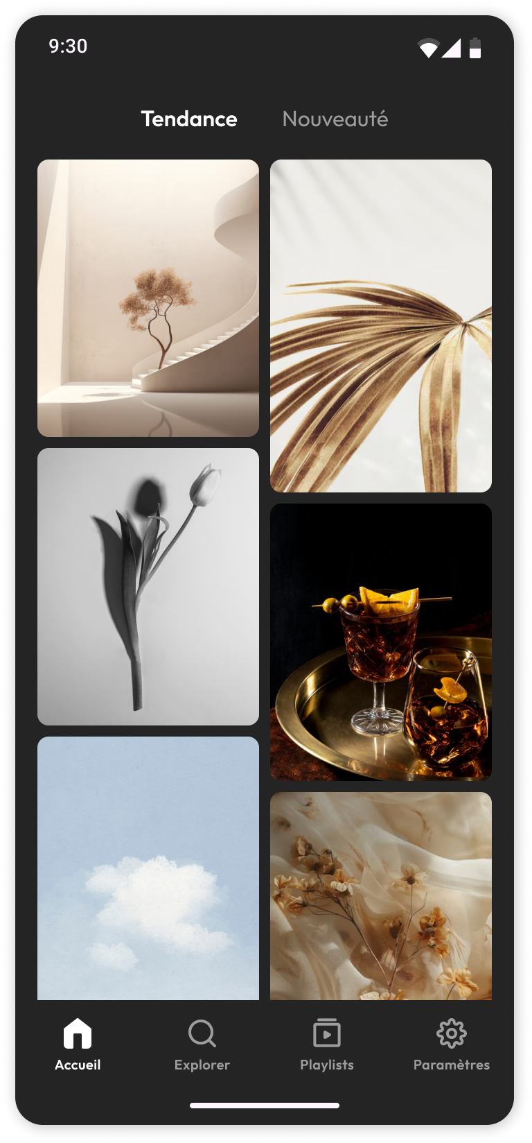 Home Page