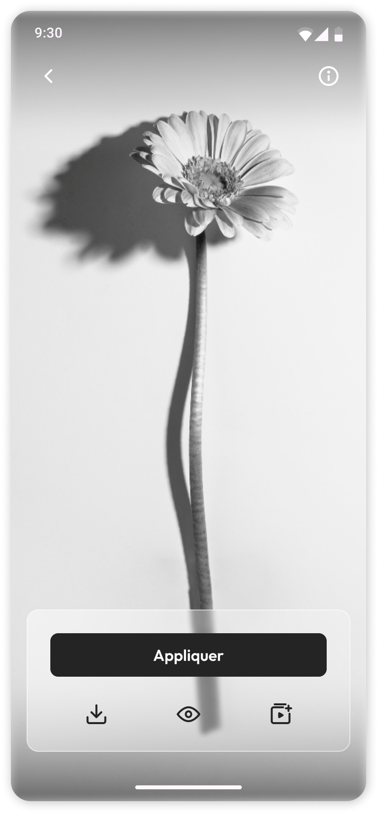 image details page